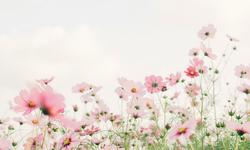 Featured image of post Thoughts about Motherhood